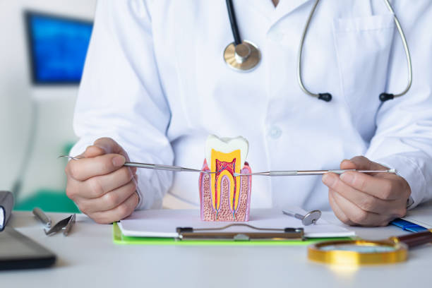 Best Emergency Tooth Extraction in Grottoes, VA